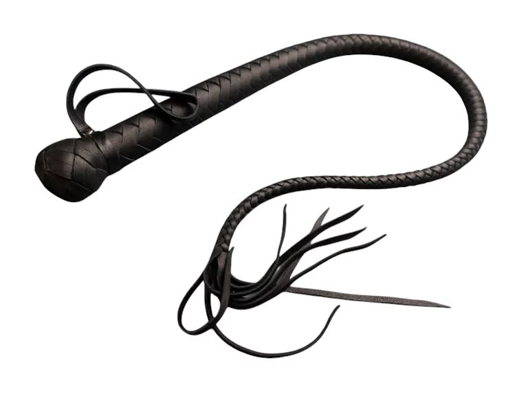 Black Leather Whip