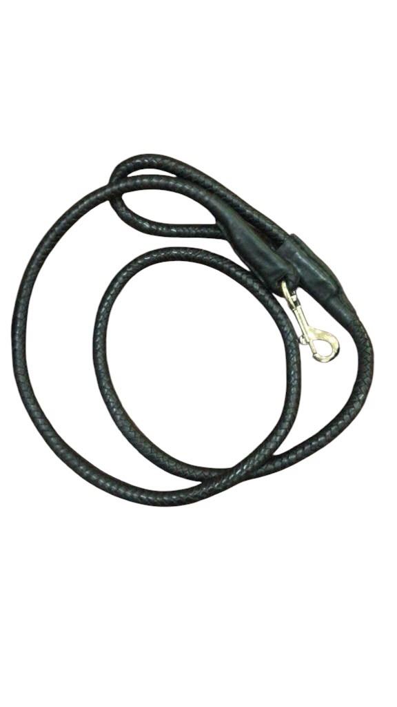 Leather Braided dog lead
