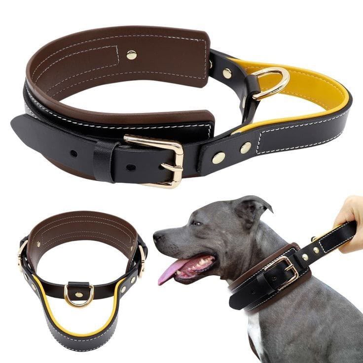 Padded leather Dog collar